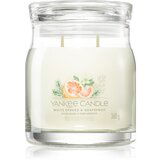 Yankee Candle White Spruce & Grapefruit dišeča sveča 368 g Cene