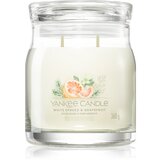 Yankee Candle White Spruce & Grapefruit mirisna svijeća 368 g | shoptok.hr