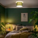  Brilagi - LED plafonski luster CERIA 1xE27/40W/230V, prečnik 45 cm, zelena | Eponuda.com