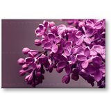  Slike na platnu cveće (moderne slike na platnu) | ePonuda.com