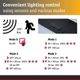 PAULMANN 95746 - LED/2,3W IP44 Solarno zidno svetlo sa senzorom EILEEN 3,7/230V | Eponuda.com