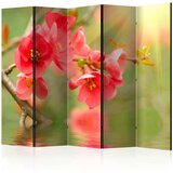  Paravan u 5 dijelova - Azalea reflected in the water II [Room Dividers] 225x172 Cijene