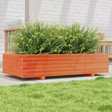 Furnova Vrtno cvetlično korito voščeno rjavo 110x60x26,5 trdna borovina, (21921697) | Shoptok.si