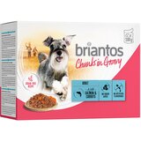 briantos Chunks in Gravy 12 x 100 g - Losos i mrkva | shoptok.hr