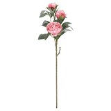  CVIJEĆE PEONIJA 90CM ROZO BIZZOTTO Cijene