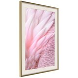  Poster - Pink Feathers 20x30 | shoptok.hr