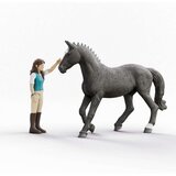  Lisa & Storm | Eponuda.com