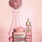 L´Oréal Paris Age Perfect Golden Age dnevna krema protiv bora za zrelu kožu lica 50 ml | shoptok.hr