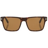 Tom Ford Muške Sunčane naočale FT1205/S Calder Tortoise Cijene