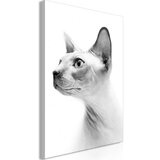  Slika - Hairless Cat (1 Part) Vertical 60x90 | shoptok.hr