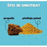 Hedera Nativni Propolis Junior, propolis za djecu, 20 g | shoptok.hr