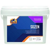 SoZen