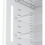 Gorenje Frižider - RI517D62WFE | Eponuda.com