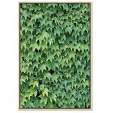  Slika - Thick Ivy (1 Part) Vertical 40x60 | shoptok.hr