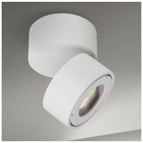 Orion AL 11-1220 - LED kupatilsko spot svetlo HARVEY LED/15W/230V IP65, belo Cene