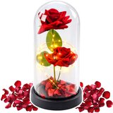 Eternal 2 Roses in Dome with LED Lighting and Rose Petals Red 21x11cm | Shoptok.si