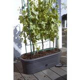 ELHO green basics veggie wall 80 cm Cene