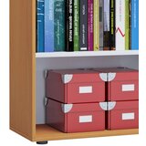 MID.YOU pisarniški regal lona xl, bukev | Shoptok.si
