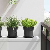  Okrugla saksija za cveće 6 pcs Crna Ø 17 x 14 cm Plastika - Crna Ø 19 x 16 cm 6 | shoptok.hr