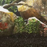  Pijesak za akvarij 25 kg crni 0 2 - 2 mm | shoptok.hr