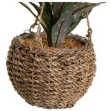 Casa Selección Umetna rastlina (višina 25 cm) – | Shoptok.si