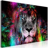  Slika - Sun of Africa (1 Part) Wide 120x80 Cijene