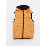 LC Waikiki Basic Boy's Inflatable Vest with a Hooded cene