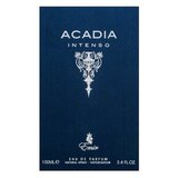 Emir Acadia Intenso parfumirana voda za moške 100 ml | Shoptok.si