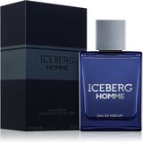 Iceberg Homme parfumska voda za mo&amp;scaron;ke 100 ml Slike