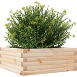  Vrtno cvetlično korito 60x60x23 cm trdna borovina | Shoptok.si