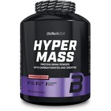 Biotechusa hyper mass 4000g - proteinski gainer za brzu masu - kuki krem 1kg
