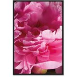  Slika - Blossom of Beauty (1-part) - Pink Peony Flower Embraced by Nature 60x90 | shoptok.hr