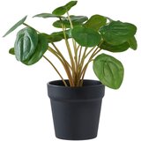 House Nordic Umjetna biljka (visina 28 cm) Pelia – Cijene