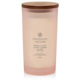 Chesapeake Bay Candle Mind & Body Stillness & Purity dišeča sveča 355 g | Shoptok.si