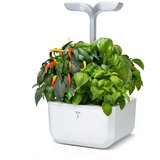  Exky® SMART Arctic White Kućni Vrt | shoptok.hr