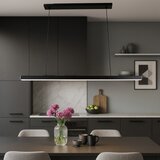  Brilagi - LED luster na sajli AXIS LED/30W/230V 120 cm crna | Eponuda.com