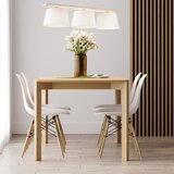  Luster na sajli AIDA 3xE27/60W/230V prečnik 25 cm hrast/bela | Eponuda.com