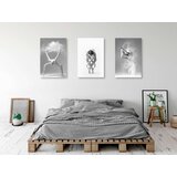  Slika - Ballet (Collection) 60x30 | shoptok.hr