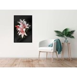  Poster - Pale Pink Lilies 20x30 | shoptok.hr
