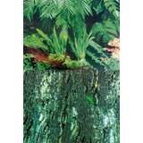 Happy Dog pozadina za terarijum tropske biljke 60cm x 150m Cene