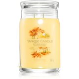 Yankee Candle Autumn Sunset dišeča sveča 567 g Cene