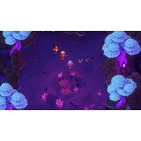 iam8bit Sea Of Stars (Switch) | shoptok.hr
