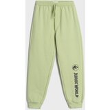 Sinsay Hlače Jurassic World | shoptok.hr