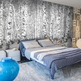  Tapeta - Birch seclusion 400x309 Cijene