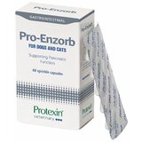 Probiotics Int. pro - enzorb - dodatak ishrani za pse i mačke za funkciju pankreasa 60 tableta Cene
