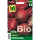 AUSTROSAAT Bio rdeča pesa Detroit 2 Cene
