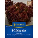 KIEPENKERL Solata za obiranje "Lollo Rossa" - 1 pkt. Cene