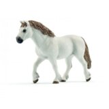  Welsh poni kobila | Eponuda.com