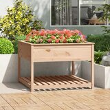 vidaXL Sadilica s policom 111 5x111 5x81 cm od masivne borovine cijene