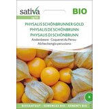 Sativa Andske jagode "Physalis Schönbrunner Gold" Cene